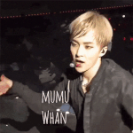 [EXO] 민석이 이짤 개쩌네 뒷북임?