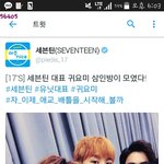 [세븐틴] <b>시작</b>과 동시에 끝나버린