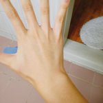 인터넷에서 손보고 몸무게<b>추측</b>하는거 난해당안됨..