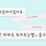 [세븐틴] 2013년도 공카 <b>채팅</b> 이라던데