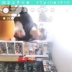 오지라퍼 피해 집에서 시간보내기