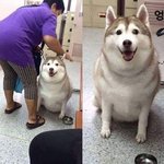 얘들아 너희들 다 고무줄 바지 입으면 편해????