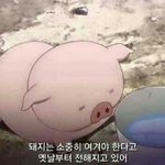[조언부탁해] 내 피부 무슨타입이야?? 조언좀 햊줘ㅠㅠ
