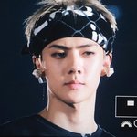 160914 EXOrDIUM in Hiroshima <b>day</b>2 프리뷰5