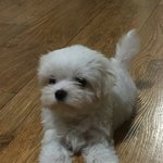 <b>금이</b>~