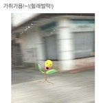 [EXO] 새벽되니까 사람이 미쳐가네. 잘<b>자라</b>