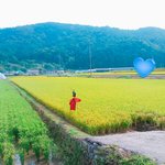 시골 좋다