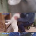[방탈죄송] 동물학대한 김해 <b>중소</b>기업 대표 누구일까요..