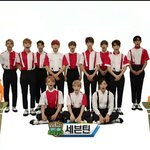 [세븐틴] 아6대 못본 <b>캐럿</b>들 여기