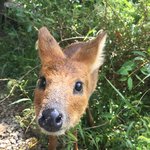 [훈이랑냥멍] 막둥이 동생 훈이랑 냥이 멍이 이야기 - 추석이라...