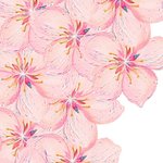 [드루와] <b>마리</b>몬드 배경화면 공유!