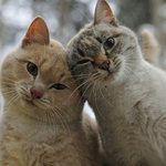나랑 언능 만나야지 <b>여보</b>