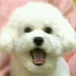 [댓글부탁해] 외국인이랑 <b>채팅</b>하는앱