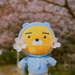 [댓글부탁해] 다들 무슨 <b>향이</b> 제일좋아?
