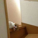 나 <b>불럿</b>냐