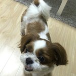 [방탄소년단] <b>미키</b> 앙녕 오랜만이다