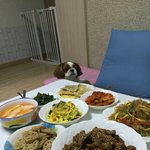 [방탄소년단] 고향갔나보다 근데 진짜 전라도........