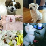 [방탄소년단] 진짜 신기한겤ㅋㅋㅋㅋㅋㅋㅋㅋㅋ