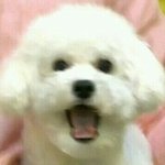 [EXO] 라창년들 자도와 함께 꼬죠라~~~~