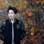 [시우민] 트윗에서 본 <b>첨보</b>는 시우민사진