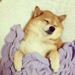 오늘 <b>폭우</b>랑 비 많이 오잖아