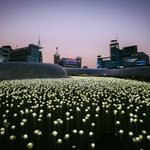 [EXO] 콘서트때<b>LED</b>장미들고싶음