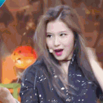 [트와이스] <b>사나</b>짤