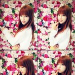 박초롱 <b>노노</b>노때