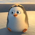 [EXO] 으 ㅆ1발 조카 도경수같아