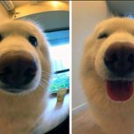단<b>톡</b><b>방</b>없나요??