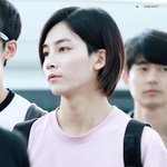 [세븐틴] ㅅㄷ)<b>수험</b>생이라 옾챗 못들어가는데 이것좀 전해줘