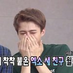 [EXO] <b>hi</b> 윌리스