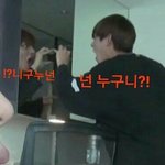 [이삐] ㅇㄱㄹ인지 우리 이쁜 이삐들인지