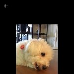 [방탄소년단] ㅋㅋㅋ김석진 쫄은거 <b>귀엽</b><b>닼</b>ㅋㅋㅋ