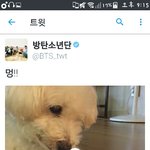 [방탄소년단] 석찌 겁내 귀여웤ㅋㅋㅋㅋㅋㅋㅋㅋㅋㅋㅋ