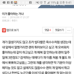 [댓글부탁해] 아까 이거 좋아하는 거냐고 쓴 쓰니인데