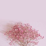 [댓글부탁해] <b>미샤</b>텐션팩트 써본사람있닝