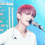 [세븐틴] 아나때는 자몽슈아고 다음은