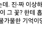 원피스보는애들아 이거<b>뭔</b><b>말</b>이니.....?