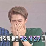 [EXO] 근데 묻5로인해서