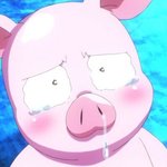 [댓글부탁해] 오늘 분홍색<b>셔츠</b>?에 햐양테니스입는거