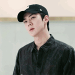 윌리스 하이