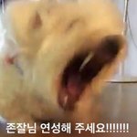 [방탄소년단] 아닠ㅋㅋㅋㅋㅋㅋ이거ㅈㄴㅋㅋㅋㅋㅋ