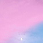 [세븐틴] ㅅㄷ 아까 식당에서