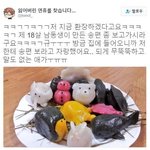 [팬픽] ㅂㄷ) 이거 봍옹날 생각나