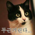 헐 <b>판</b><b>앱</b> 처음써보는데 완전신기