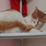 나의 동거남 <b>도칠</b>이 또다른 이름 19금 주의