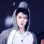 [EXO] 세훈은 진짜 <b>여자</b>한테 먹히는 얼굴인듯
