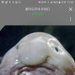 [방탄소년단] 빅힛미워!!!!막나갈거야!!!!!!!!막갖다붙일거야...