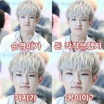 [세븐틴] 셉틴<b>공부</b>자극짤있는캐럿?